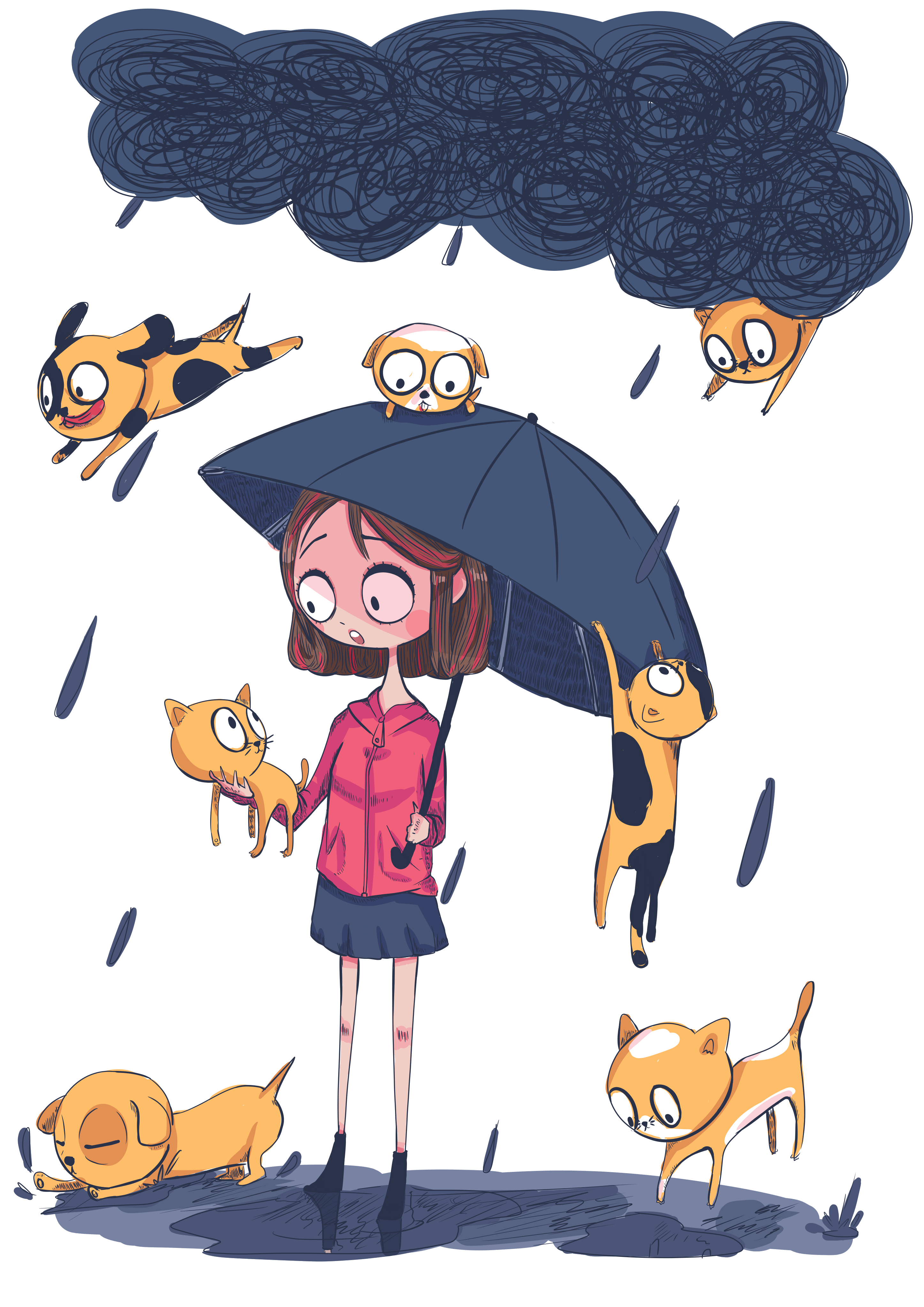 It s raining cats